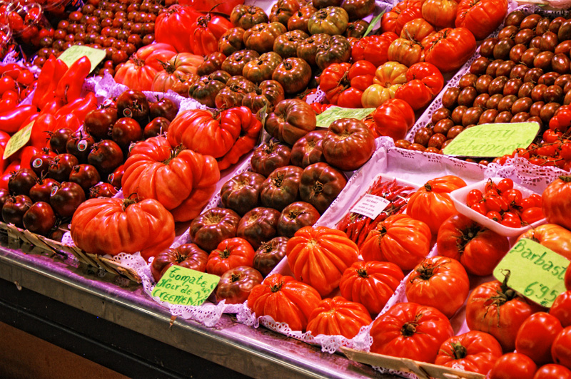 Tomates variados para as delícias catalãs!